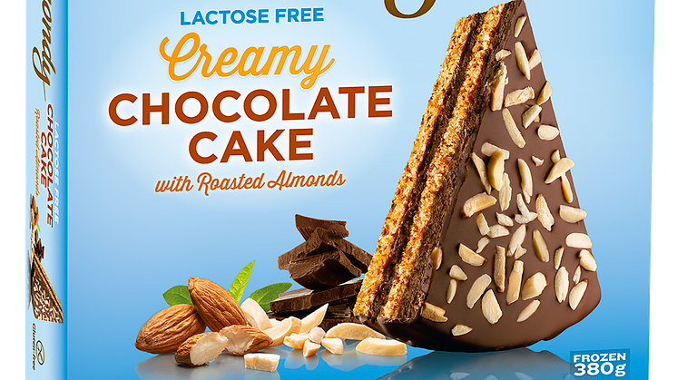 Lactose Free Chocolate Cake with roasted Almonds