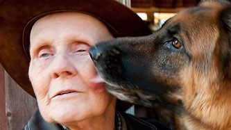 Schäfern Bibban är Årets Bragdhund