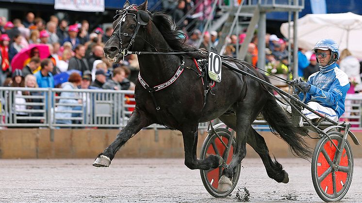 Odd Herakles är klar för Elitkampen. Foto: TR Bild