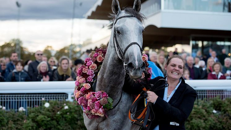 Thundering Blue efter segern på Bro Park. Foto: Elina Björklund/Svensk Galopp