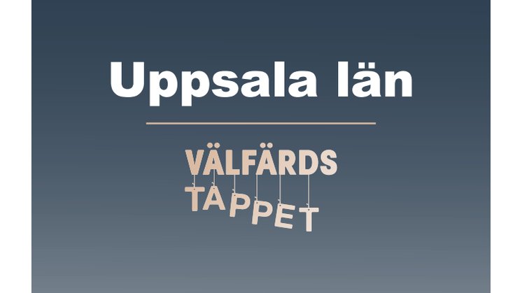 Rapport: Välfärdstappet i Uppsala