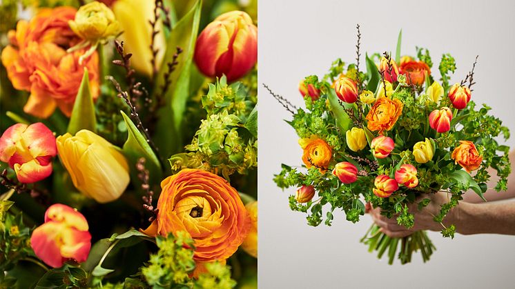 Nu kan du skicka blombud även i Skåne, delar av Halland och Västsverige med hjälp av Blomsterlandet.