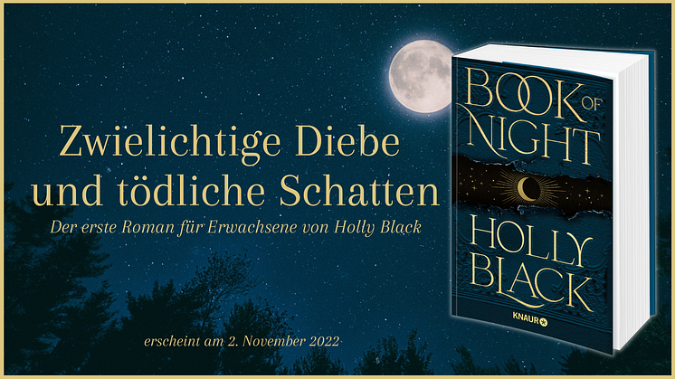 Wenn selbst der eigene Schatten nicht sicher ist - Düstere Urban Fantasy von Holly Black