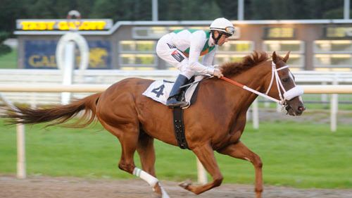 Superhästar till Täby på tisdag: – Bästa galopp-loppet någonsin i Sverige? 