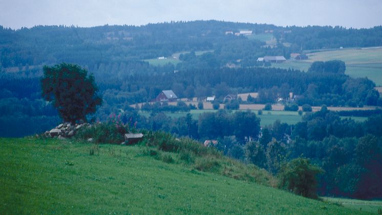 Genrebild landskap, foto: Jordbruksverket