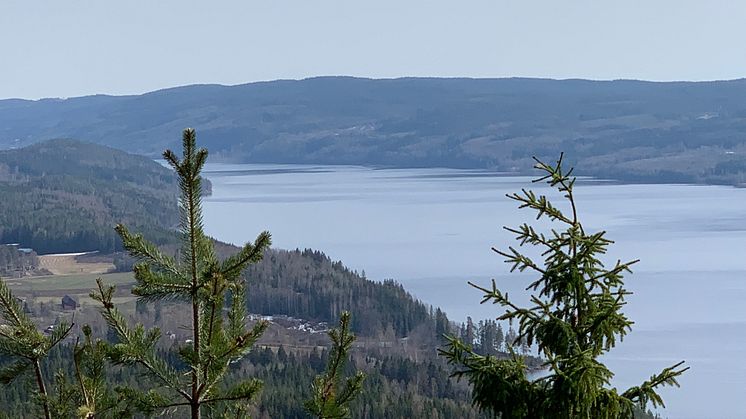 Vårvy från Gettjärnsklätten i Sunne.