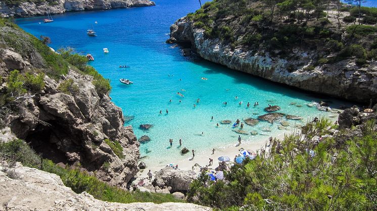 alltours bietet im Mai und Juni insgesamt vier Inforeisen nach Mallorca an.