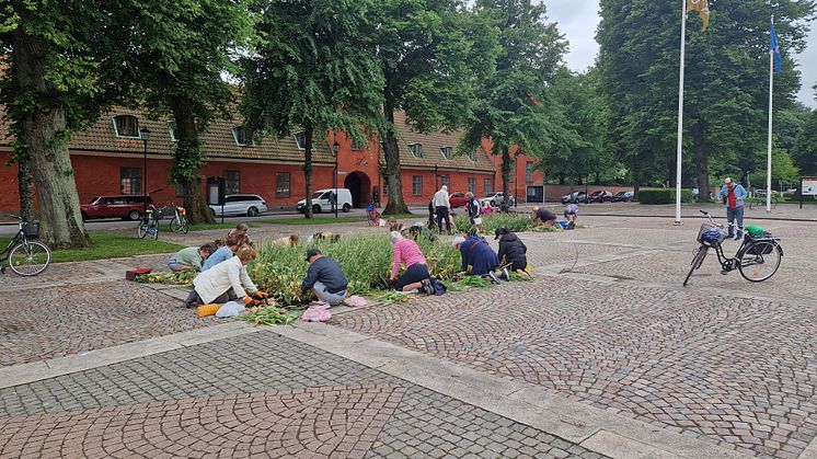 6 750 blomsterlökar fick nya ägare