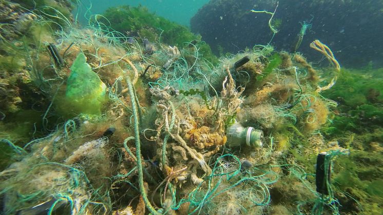 Övergivna nät och fiskelinor skadar vattenmiljön. Varje år förloras 140 miljoner meter fiskelina i nordiska vatten, visar en ny studie från IVL Svenska Miljöinstitutet.