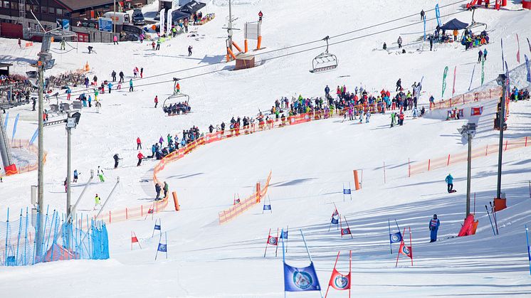 NM alpint Hemsedal 24-30 mars 2014