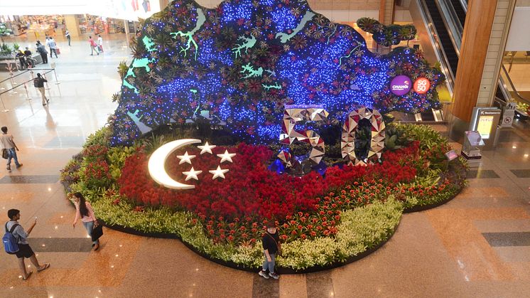 Coming Home to SG50 with Changi Airport