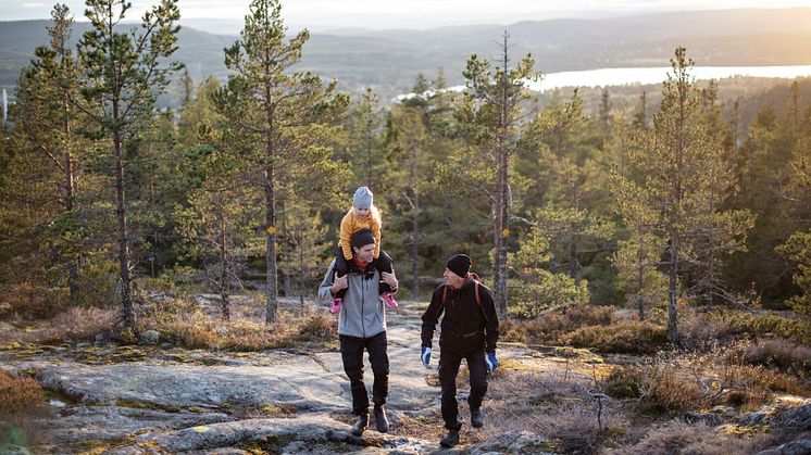 Forskningssamarbete tar Höga Kusten en nivå till