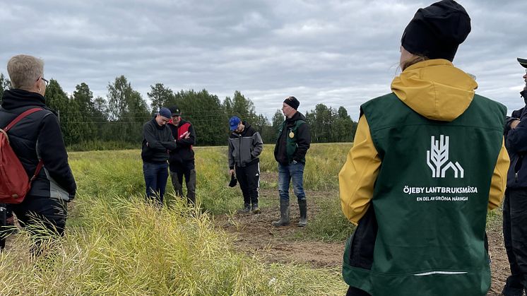 Öjeby Lantbruksmässa blir till fältdagar