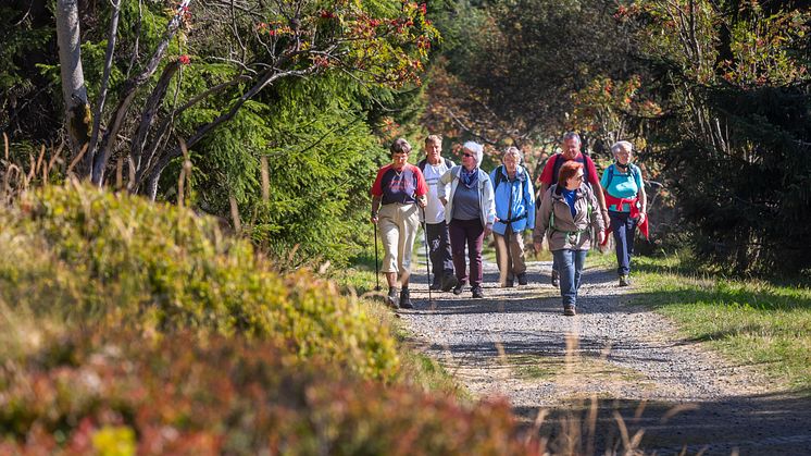 Wanderung in Kurort Oberwiesenthal (Foto: TVE/Uwe Meinhold)