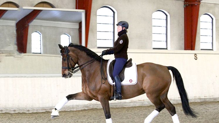 Gina Tricot Grand Prix Dressage lockar sverigeeliten till Borås