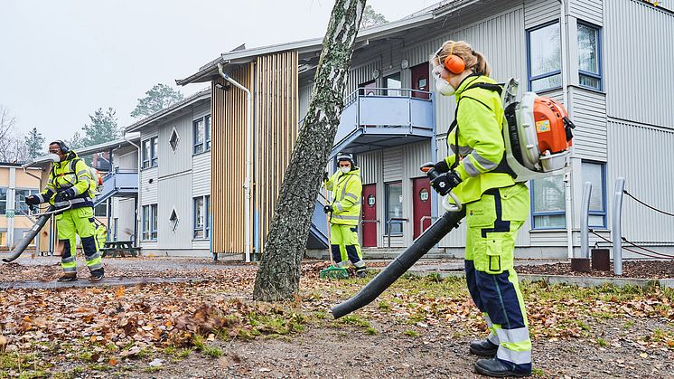 Feriepraktikanter i Haninge kommun. Foto: Tomas Södergren