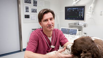 Professor Jens Häggström med patient på Universitetsdjursjukhuset vid SLU.