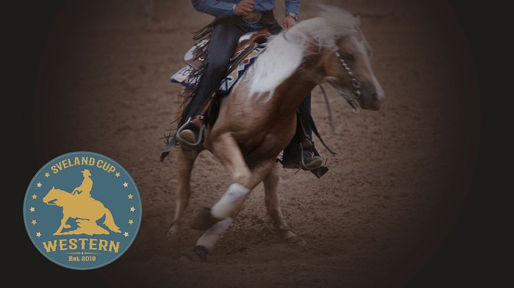 Reining, Trail, Western Horsemanship, Ranch Riding och Showmanship at Halter är grenarna som kommer att avgöras i Sveland Western Cup. Bild: Bengt Ekblom