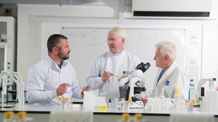 RSC Award - Dr Graeme Turnbull, Prof John Dean and Prof Stephen Stanforth