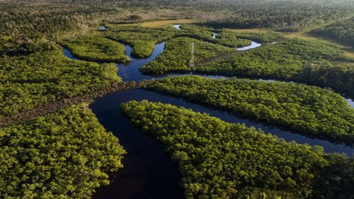 Nexans förbinder sig att vara koldioxidneutral 2030