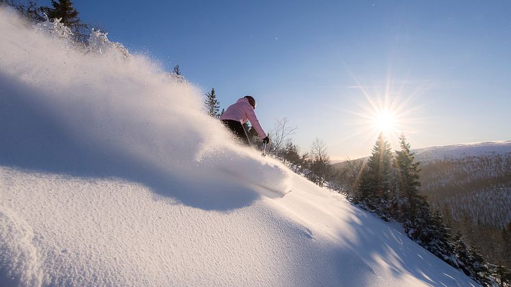 SkiStar er klar til en corona-tilpasset vintersæson: Åbner alle destinationer inden jul