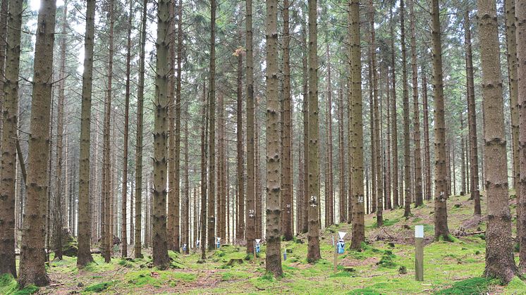 30 års miljöövervakning visar att försurningen fortfarande håller södra Sverige i sitt grepp