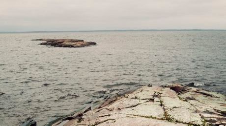 HaV vill skapa regler som ger långsiktigt skydd för värdefulla marina områden