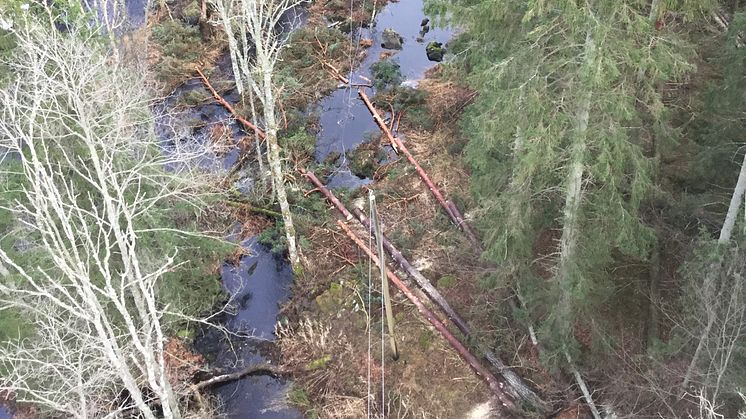 Bruten ledning vid Hålabäck