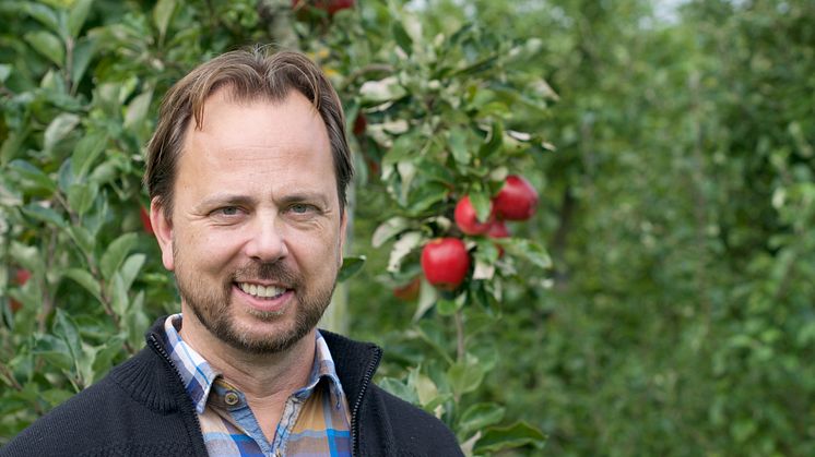 Jan Jensen, odlingsansvarig på Kiviks Musteri, arbetar för en större mångfald. Foto: Anna Lind  Lewin.