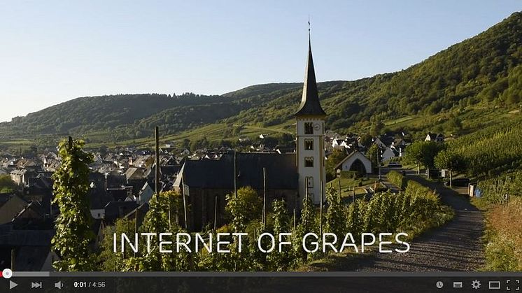 Connected vineyards