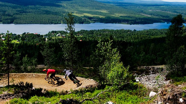 Lofsdalen Bike Park gör en miljonsatsning