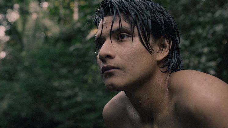 Filmen THE TERRITORY skildrer det indfødte Uru-eu-wau-wau-folk kamp mod nedbrænding af Amazonas junglen.