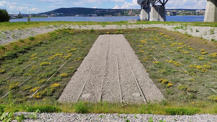 Sundsvallsbron forskningsprojekt rening av dagvatten