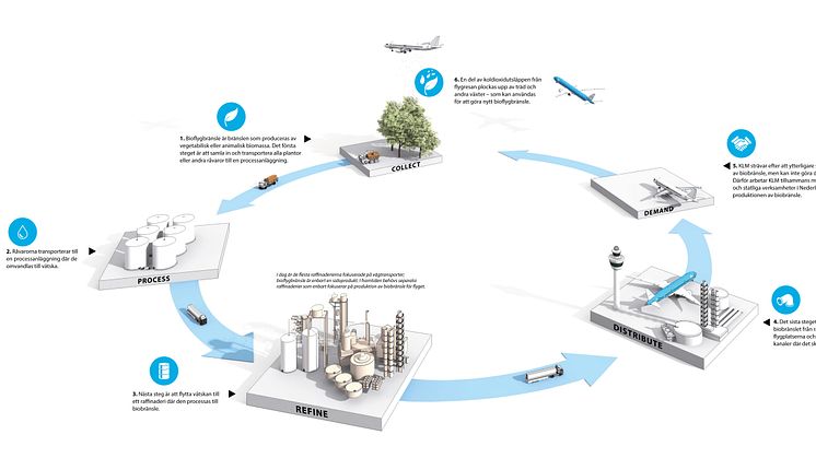 Biobränslen produceras genom biologiska processer, som till exempel vid jordbruk och rötning. Illustrationen finns tillgänglig för nedladdning i större format längre ner på sidan. 