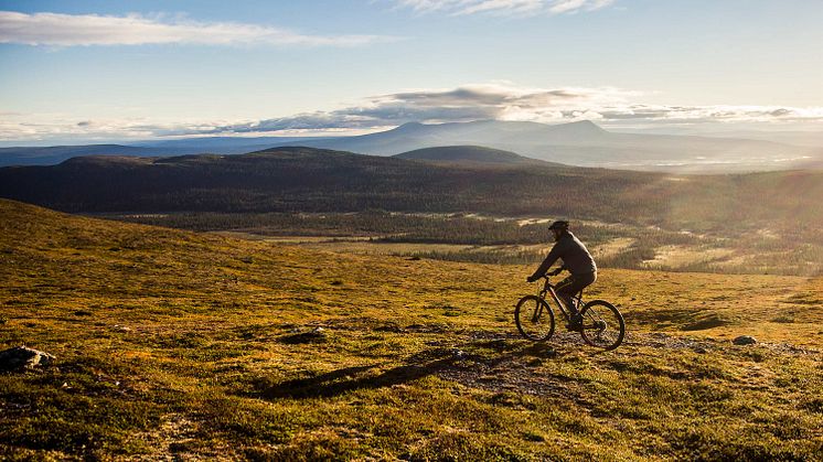 Mountainbikecyklist uppe på fjället Foto: Martin Olson