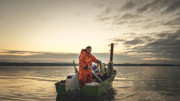 Berufsfischer Rolf Meier mit Gästen auf dem Bodensee, Ostschweiz. Copyright: Schweiz Tourismus / Ivo Scholz