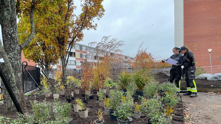 Parken får inte bara nya blommor utan också nya bänkar och ny grillplats. Planen är att parken ska vara klar under hösten 2022. 