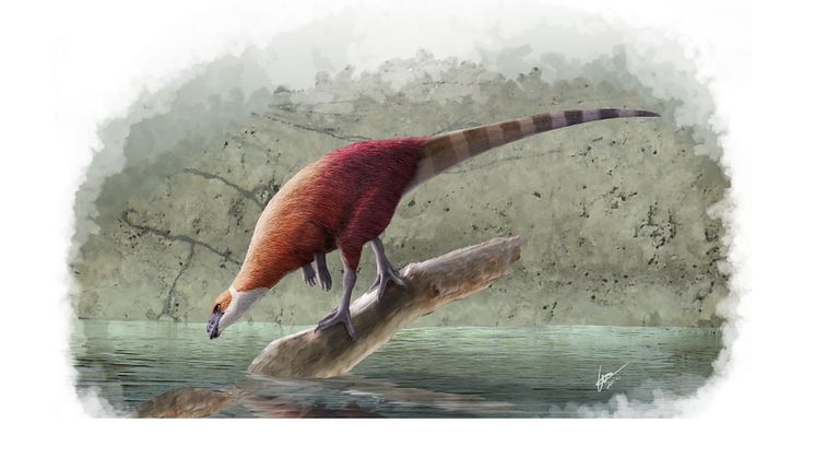 Ornitopoden Parkosaurus