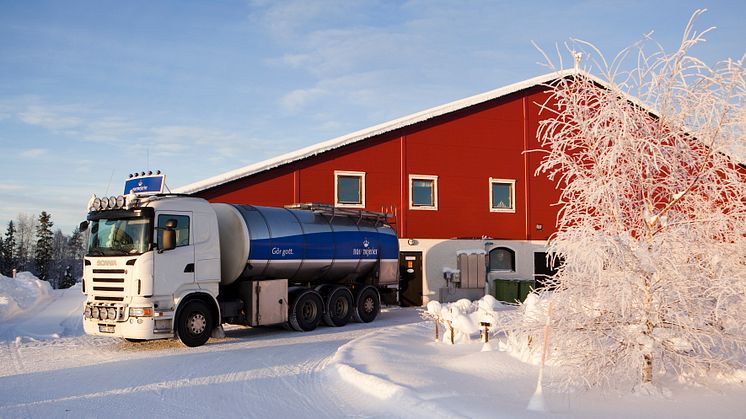 Mjölkbil i Norrland