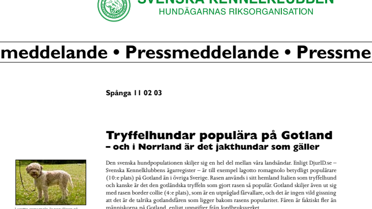 Tryffelhundar populära på Gotland – men i Norrland är det jakthund som gäller