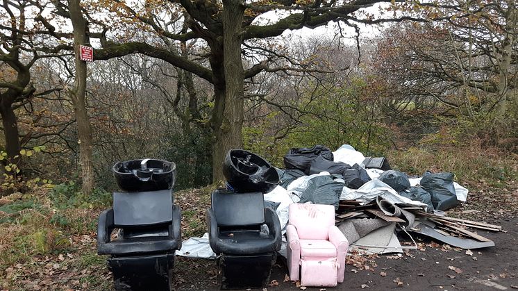 Can you help us catch these fly-tippers?