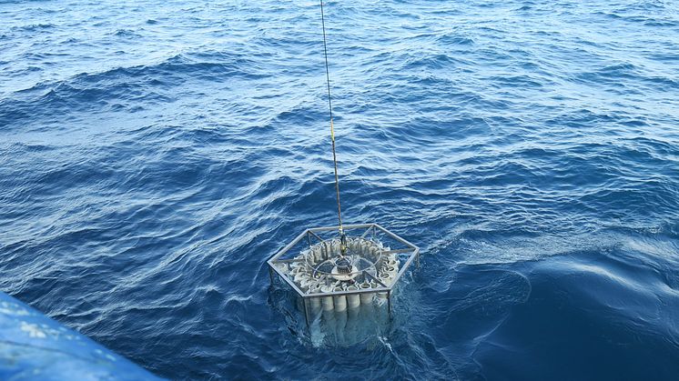 Prover tas ur Svarta havet för att isolera dna från DPANN-arkéer. Foto: Nina Dombrowski