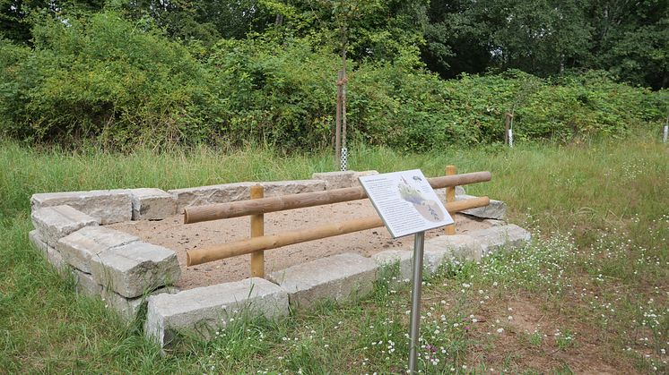 Die abgetrennte Sandfläche bietet Sandbienen ein neues Zuhause.