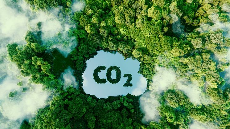 Naturen er stadig langt den bedste til at lagre CO2, mens teknologiske løsninger stadig er langt fra at løse klimaforandringerne. Foto: Shutterstock