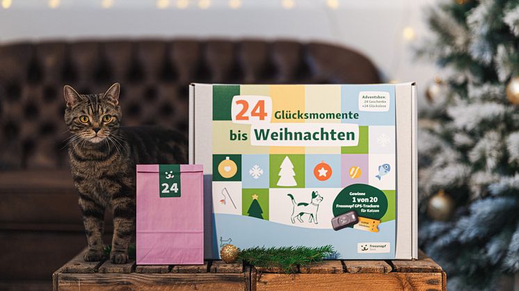 Fressnapf-Adventskalender: 24 Glücksmomente für Mensch und Tier 