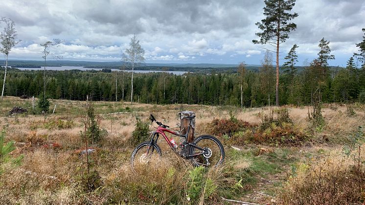 Kottaberget utanför Gyttorp i Nora kommun blir projektområde för utveckling av naturturism