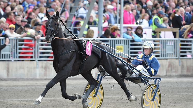 Startlistan för Elitloppet lottad – guldläge för vinnarspel