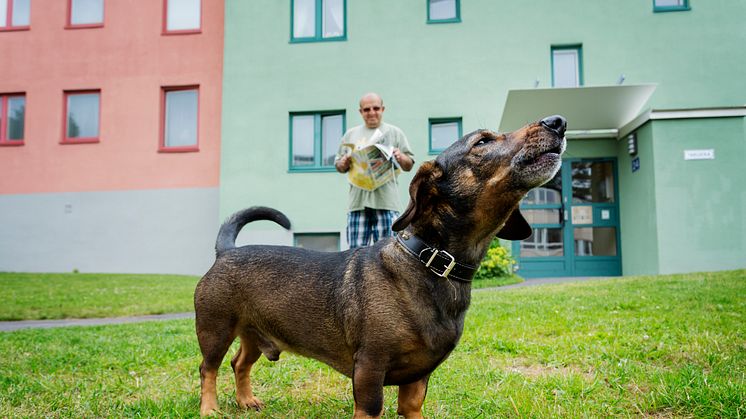 ​Alla behöver en vän