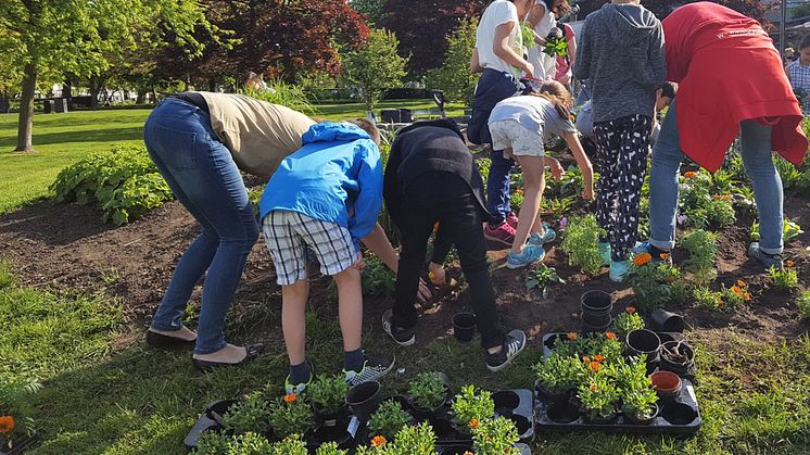 Pressinbjudan: Välkommen till barnens rabatt i Stadsparken