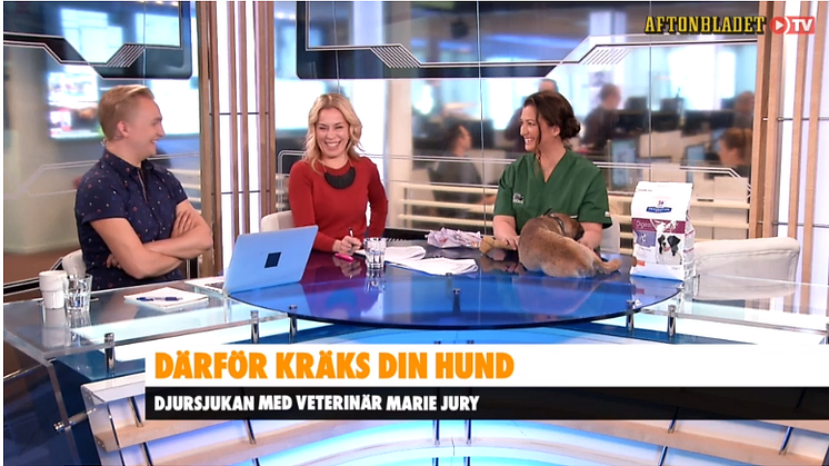 Bild från Aftonbladet TV 